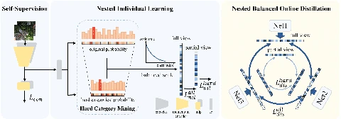Overview of Nested Collaborative Learning for Long-Tailed Visual Recognition