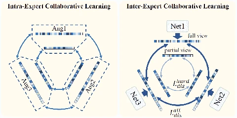 Overview of NCL++: Nested Collaborative Learning for Long-Tailed Visual Recognition